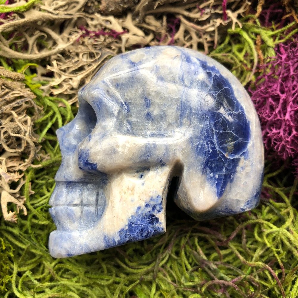 Sodalite Skull blue and white crystal skull - Picture 8 of 12